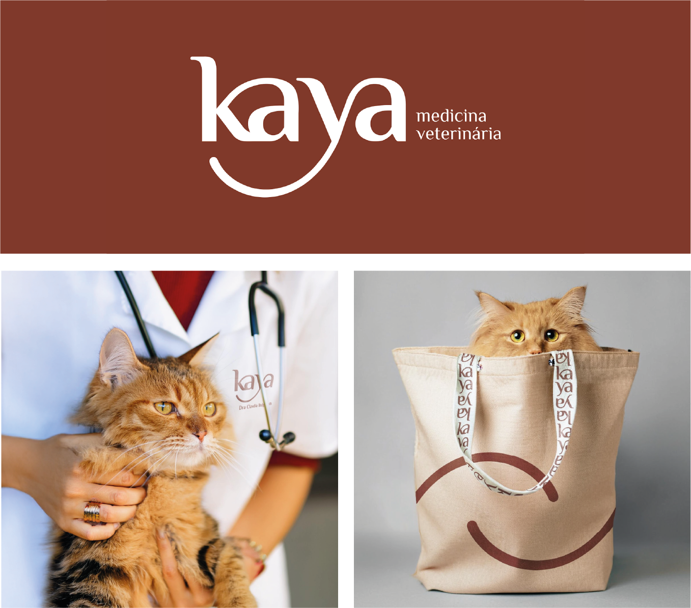 Kaya — visual 1